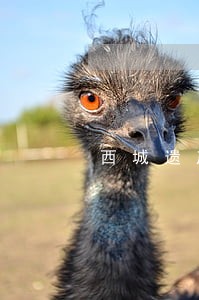 西城遗产继承分配律师 西城遗产继承分配律师