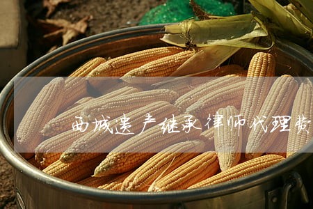 西城遗产继承律师代理费 西城遗产继承律师代理费