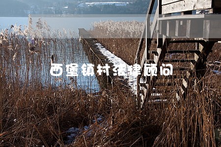 西堡镇村法律顾问 西堡镇村法律顾问