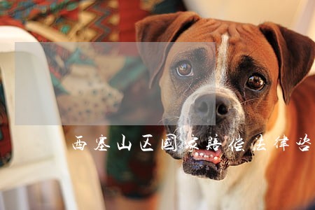 西塞山区国家赔偿法律咨询律师