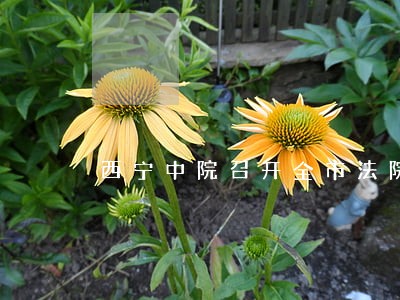 西宁中院召开全市法院工作会议 西宁中院召开全市法院工作会议