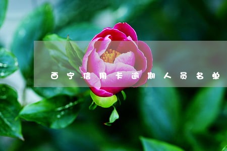 西宁信用卡逾期人员名单 西宁信用卡逾期人员名单
