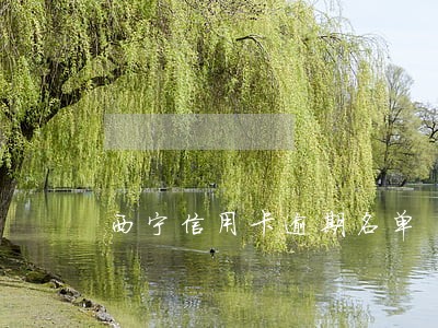 西宁信用卡逾期名单 西宁信用卡逾期名单