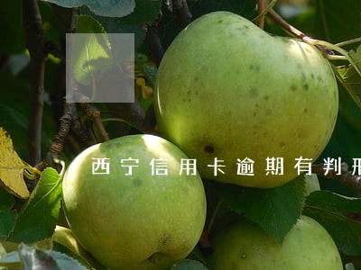 西宁信用卡逾期有判刑的吗 西宁信用卡逾期有判刑的吗