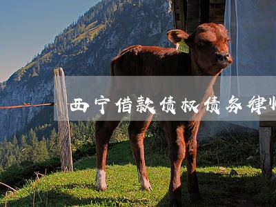 西宁借款债权债务律师诉讼代理 西宁借款债权债务律师诉讼代理