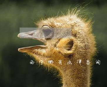 西宁哪有法律咨询 西宁哪有法律咨询