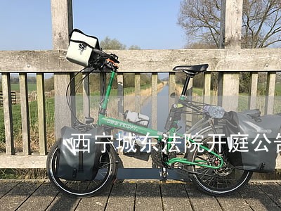 西宁城东法院开庭公告 西宁城东法院开庭公告