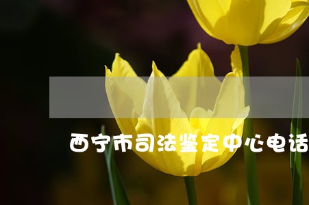 西宁市司法鉴定中心电话多少