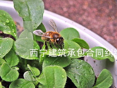 西宁建筑承包合同纠纷律师价格 西宁建筑承包合同纠纷律师价格