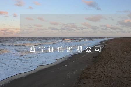 西宁征信逾期公司