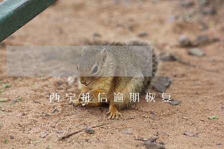西宁征信逾期恢复 西宁征信逾期恢复
