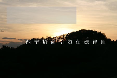 西宁招商引资在线律师 西宁招商引资在线律师