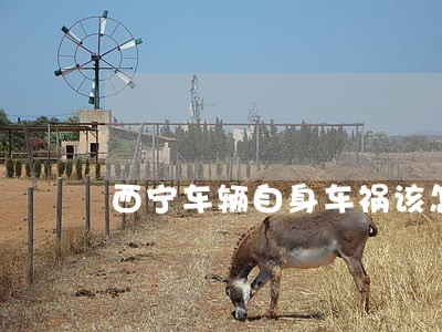 西宁车辆自身车祸该怎么样诉讼 西宁车辆自身车祸该怎么样诉讼