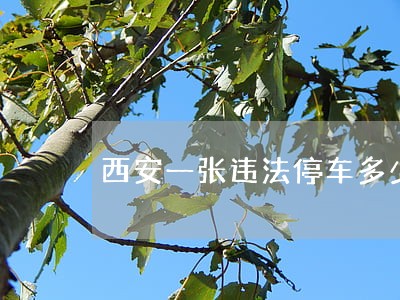 西安一张违法停车多少钱 西安一张违法停车多少钱