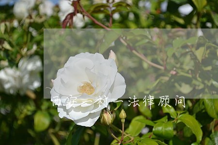 西安一村一法律顾问 西安一村一法律顾问