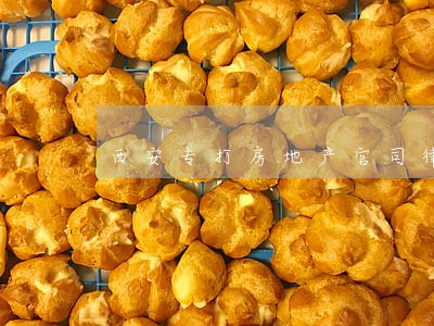 西安专打房地产官司律师 西安专打房地产官司律师