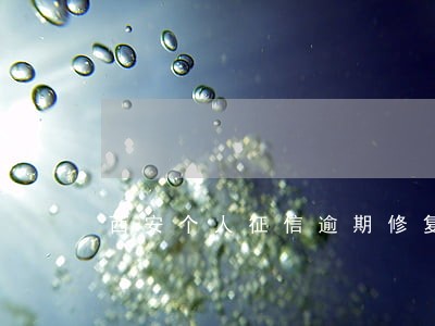 西安个人征信逾期修复公司 西安个人征信逾期修复公司