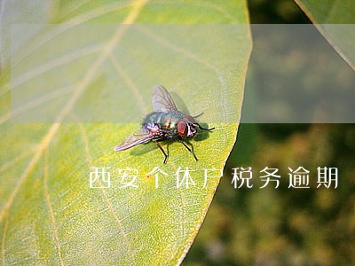 西安个体户税务逾期 西安个体户税务逾期