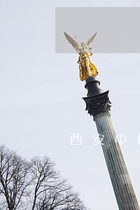 西安中信逾期报警 西安中信逾期报警