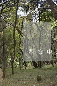 西安中法院地址电话是多少钱 西安中法院地址电话是多少钱
