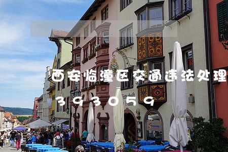 西安临潼区交通违法处理/2023020393059 西安临潼区交通违法处理/2023020393059