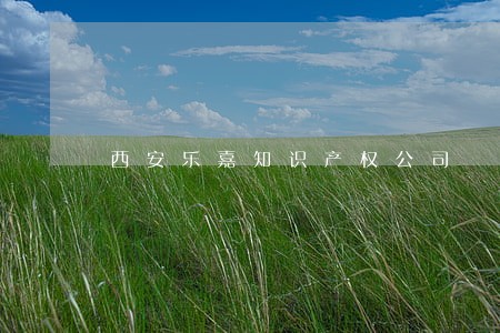 西安乐嘉知识产权公司 西安乐嘉知识产权公司