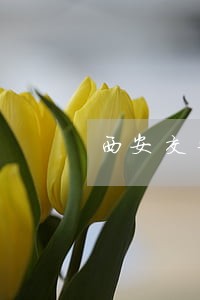 西安交警交通违法自肋处理系统 西安交警交通违法自肋处理系统