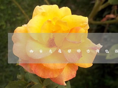 西安交通律师咨询电话 西安交通律师咨询电话