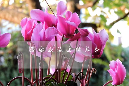 西安众派法律服务 西安众派法律服务