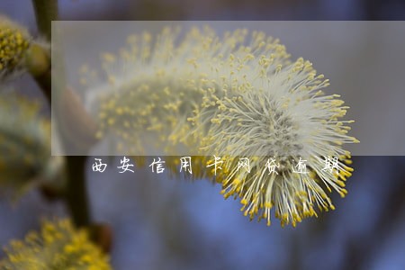 西安信用卡网贷逾期 西安信用卡网贷逾期