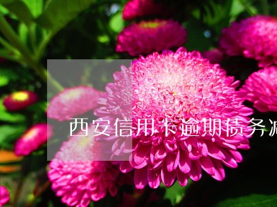 西安信用卡逾期债务减免