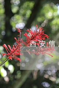 西安信用卡逾期名单 西安信用卡逾期名单