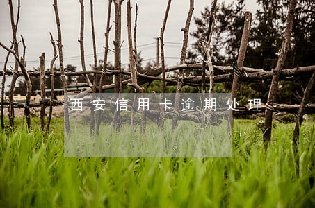 西安信用卡逾期处理 西安信用卡逾期处理