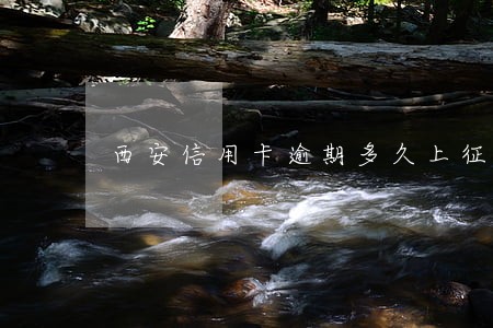 西安信用卡逾期多久上征信 西安信用卡逾期多久上征信