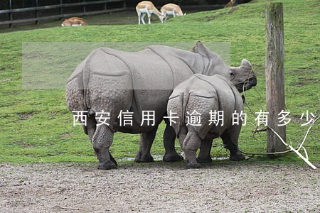 西安信用卡逾期的有多少 西安信用卡逾期的有多少
