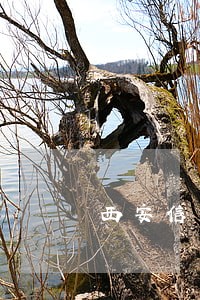 西安信用卡逾期还款 西安信用卡逾期还款