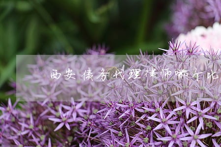 西安债务代理律师哪个比较好