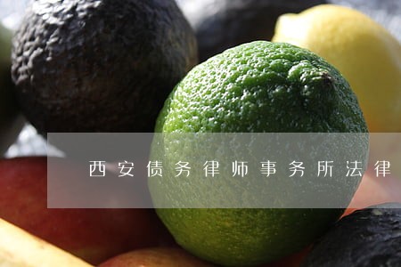 西安债务律师事务所法律咨询 西安债务律师事务所法律咨询