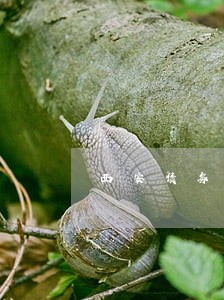 西安债务律师在线咨询 西安债务律师在线咨询
