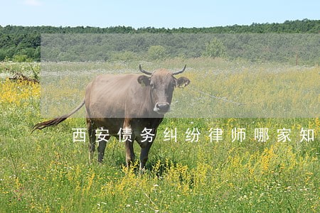 西安债务纠纷律师哪家知名 西安债务纠纷律师哪家知名