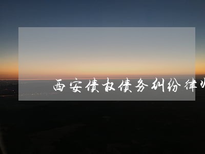 西安债权债务纠纷律师网站 西安债权债务纠纷律师网站