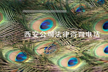 西安公司法律咨询电话 西安公司法律咨询电话