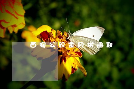 西安公积金月供逾期 西安公积金月供逾期