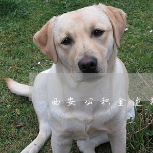 西安公积金逾期1次怎么办