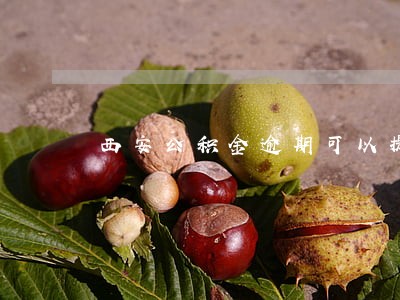 西安公积金逾期可以提取吗 西安公积金逾期可以提取吗