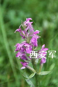 西安军人法律援助中心