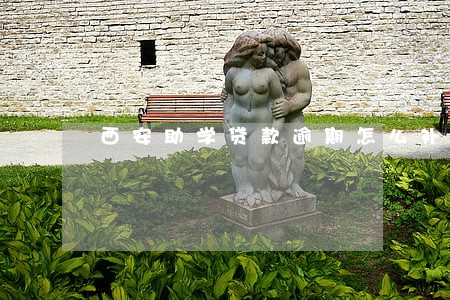 西安助学贷款逾期怎么补救 西安助学贷款逾期怎么补救