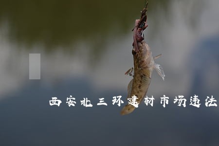 西安北三环建材市场违法占地 西安北三环建材市场违法占地