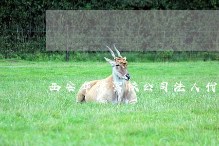 西安华津驾校公司法人代表 西安华津驾校公司法人代表
