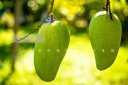 西安即将实施这个条例 西安即将实施这个条例